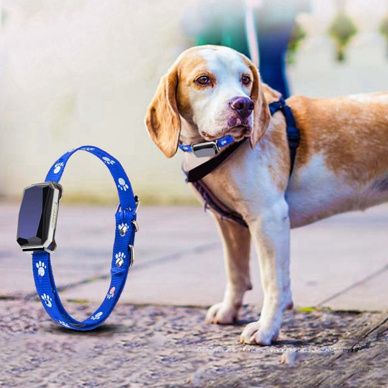 GPS pet positioning collar