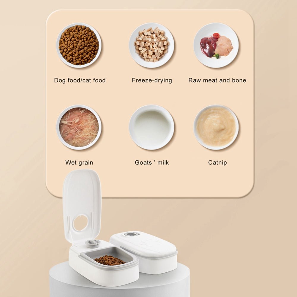 Automatic Pet Feeder Smart Food Dispenser For Cats Dogs Timer Stainless Steel Bowl Auto Dog Cat Pet Feeding Pets Supplies - Little Commodities